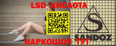 твердый Бийск