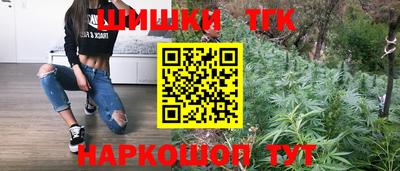 твердый Бийск