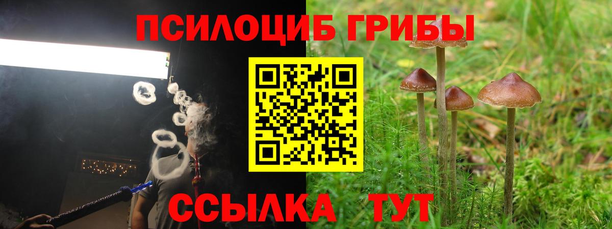 Галлюциногенные грибы MAGIC MUSHROOMS Кизилюрт